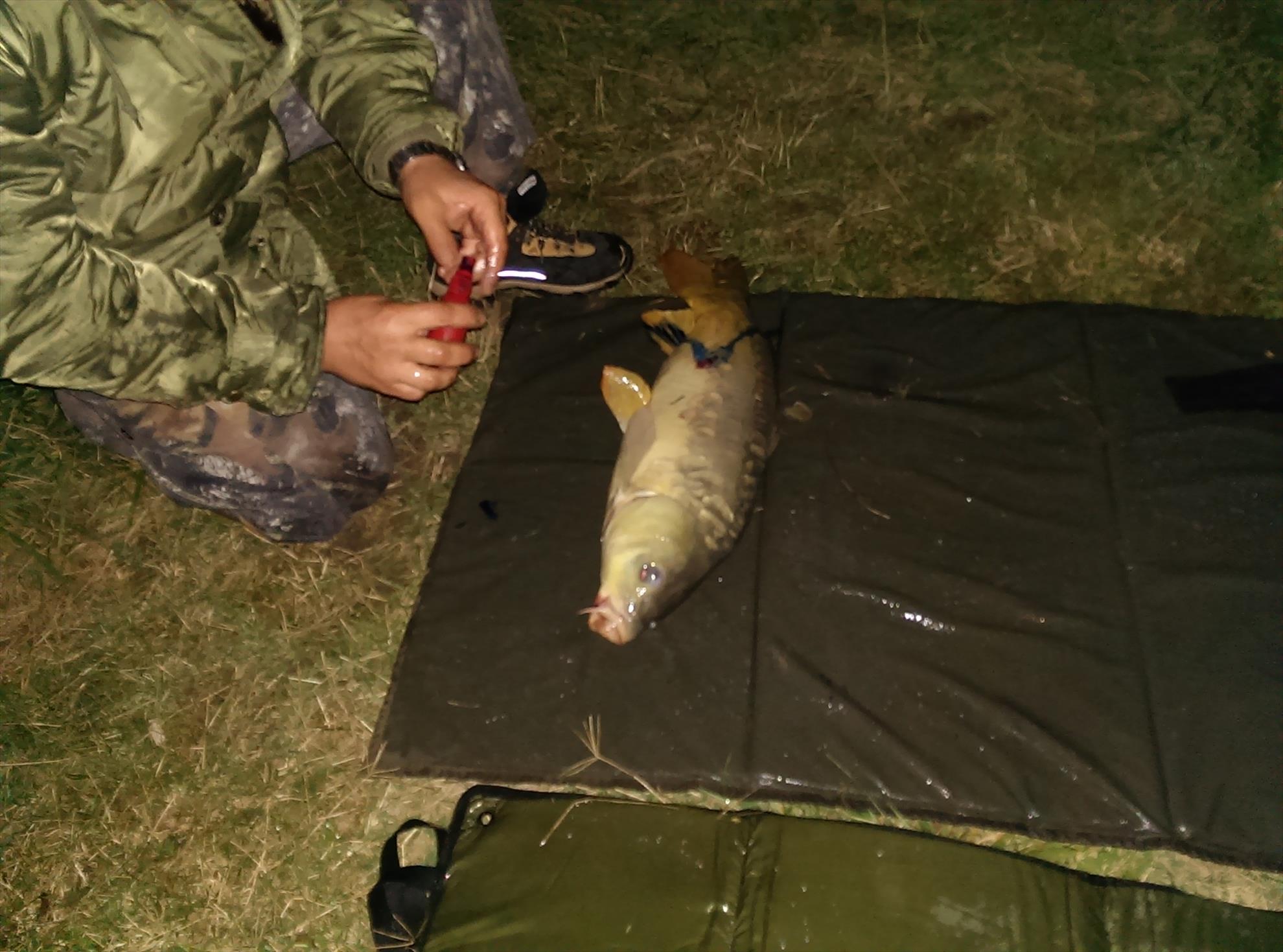 moara vlasiei 2013 - imag0672.JPG